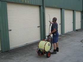 Pest Control Services