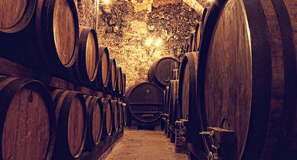 Wine Cellar